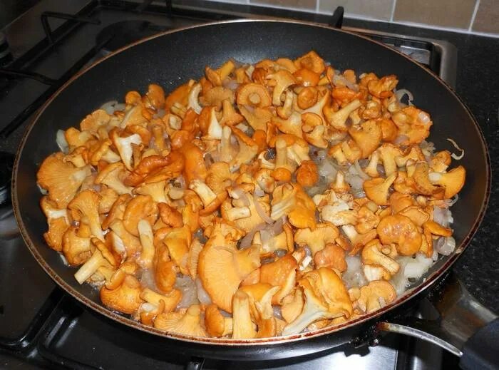 Отварить лисички. Нужно ли отваривать белые грибы перед жаркой. Нужно ли варить перед жаркой. Лисички после варки. Нужно ли варить перед жаркой.