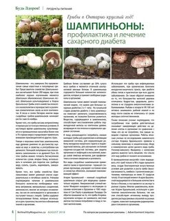 Когда нельзя есть грибы