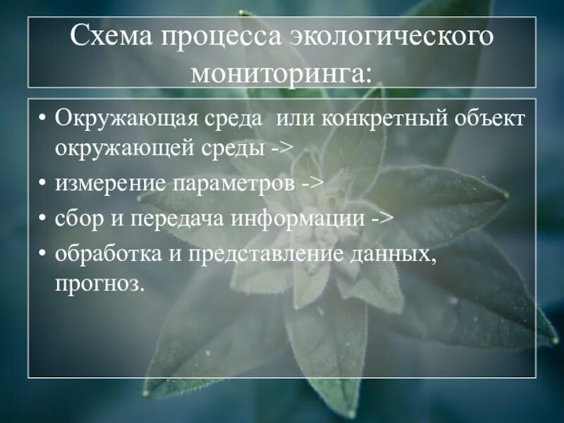 Методы экологического прогнозирования. Экологические процессы. Метод прогнозирования экология. Экологический прогноз. Что такое экологический прогноз