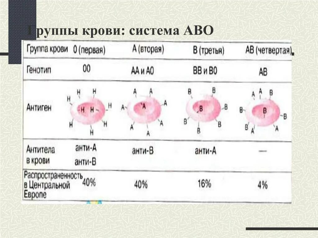 1 группа крови антигены и антитела. Антигены системы АВО таблица. Антигены групп крови системы АВО. 1. Группы крови, система АВО. Механизм исследования групп крови системы АВО \.