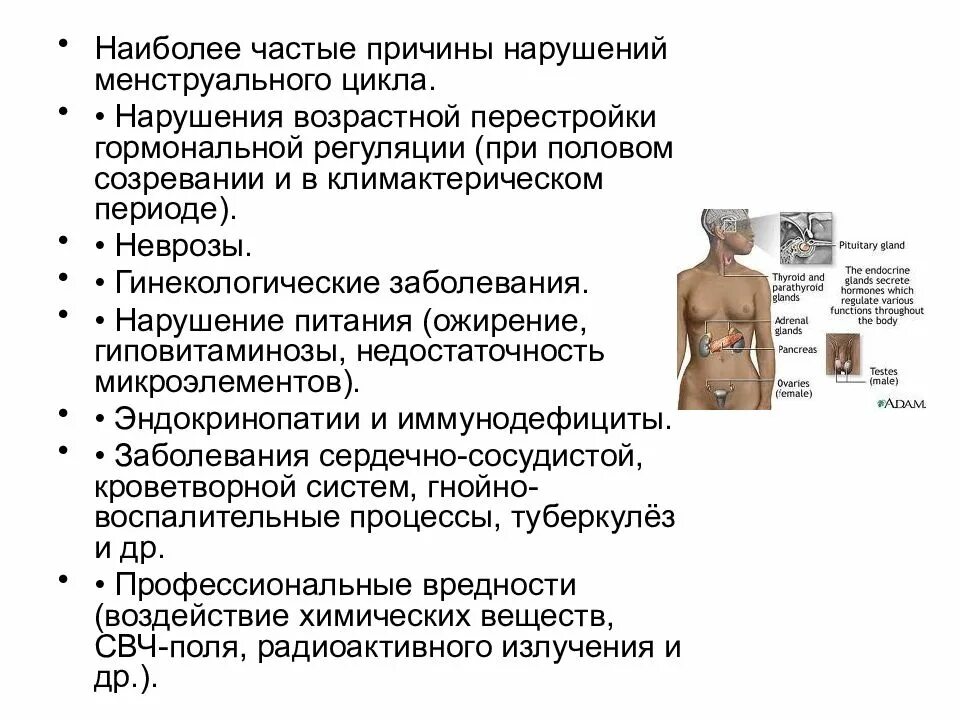 Можно ли похудеть при гормональном сбое