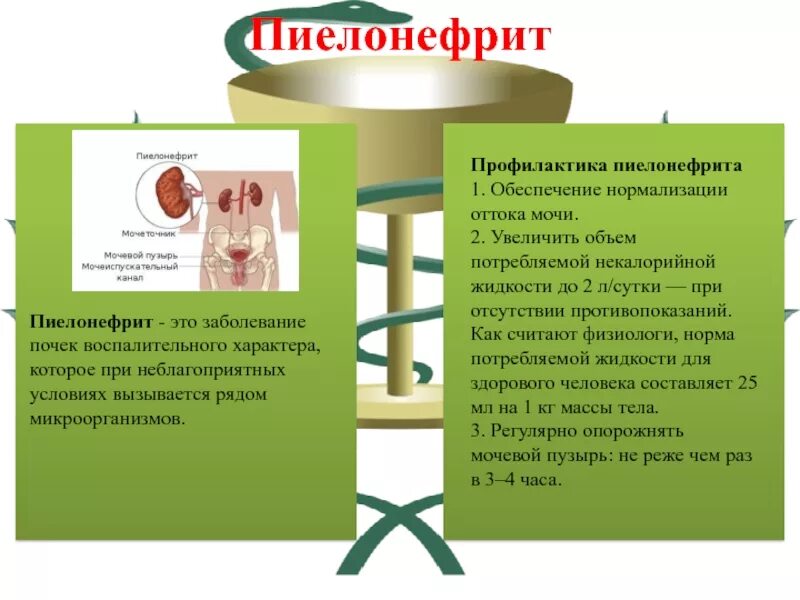 Профилактика болезни пиелонефрит. Профилактика острого пиелонефрита буклет. Профилактика заболеваний мочевыделительной системы. Острый пиелонефрит памятка. Назовите основные меры профилактики почек