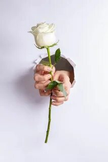 Rose hole
