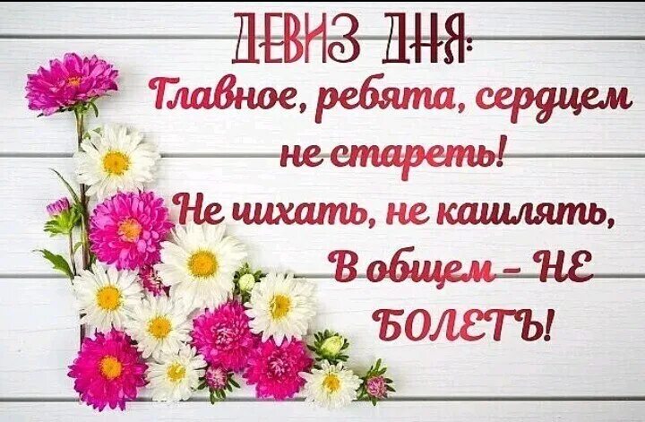Доброе утро картинки пожелания береги себя Веселые истории о нас № 544 Ветер Вольный КОНТ