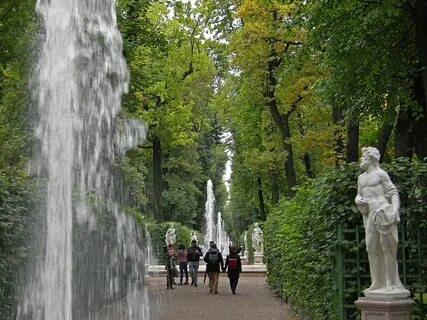 Красота летнего сада