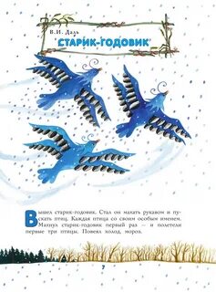 Старик годовик какие птицы