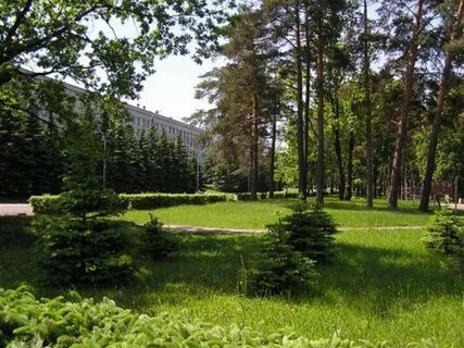 Заречный московская область