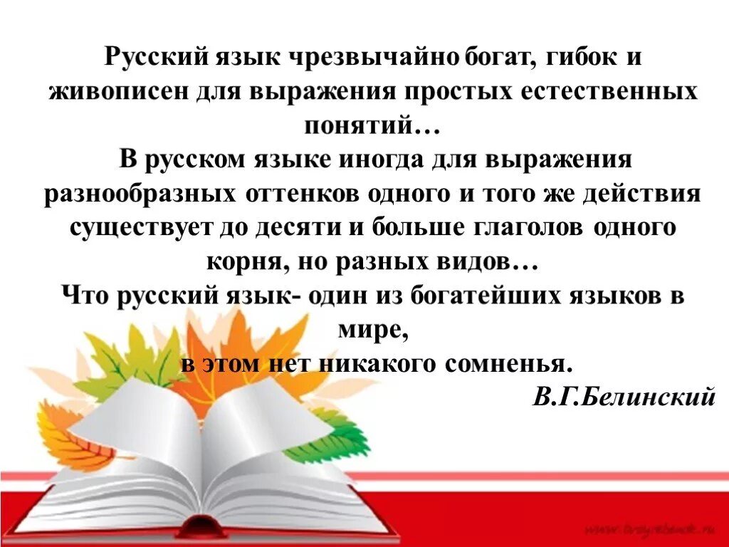 Уроки родного русского языка 9 класс