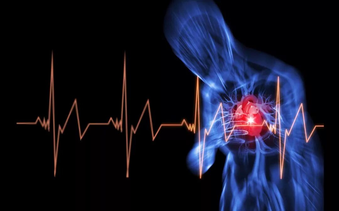 Как энергетик влияет на сердце. Энергетики сердце. Энергетики влияют на сердце. Аритмия сердца анимация.