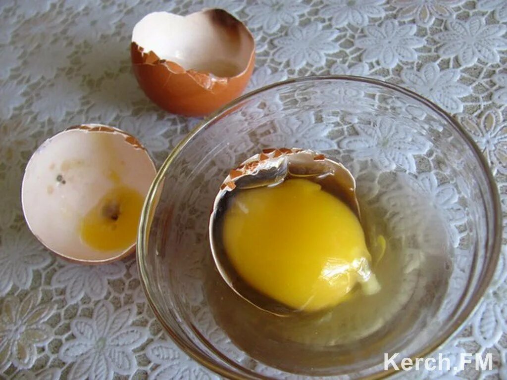 Привкус яиц. Тухлое яйцо. Протухшее куриное яйцо. Испорченное яйцо куриное. Испорченное вареное яйцо.