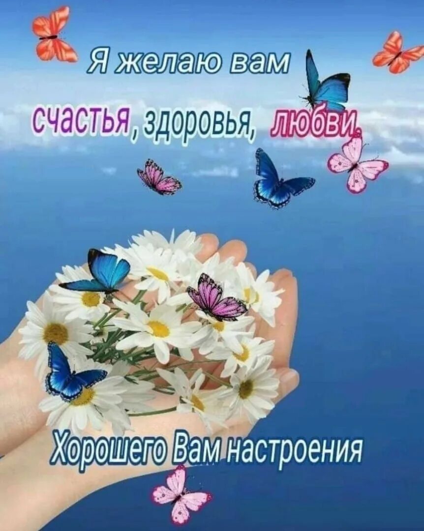 Желаю с утра здоровья и добра. Пожелания счастья и здоровья. Доброе утро здоровья и счастья. Доброеутрадоровья и счастья. Хорошего дня счастья и здоровья.