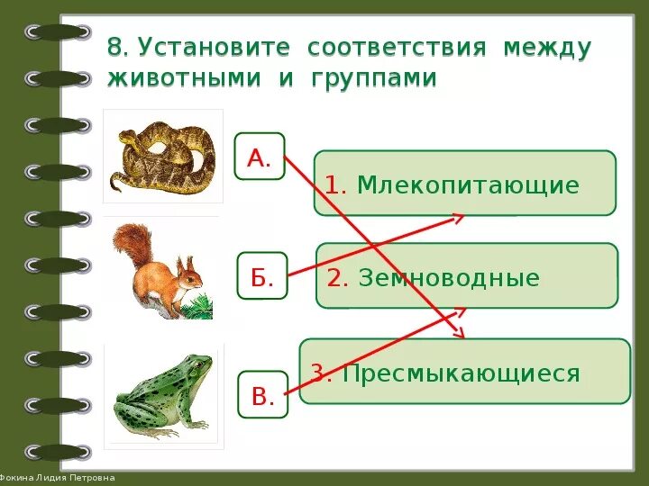 Проверочная работа по теме какие бывают животные