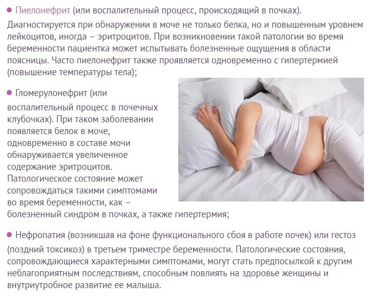 Можно ли внутрь при беременности. Белок в моче при беременности. белок в моче у беременной. у беременной на позднем сроке белок в моче. белок в моче у беременных на поздних сроках.