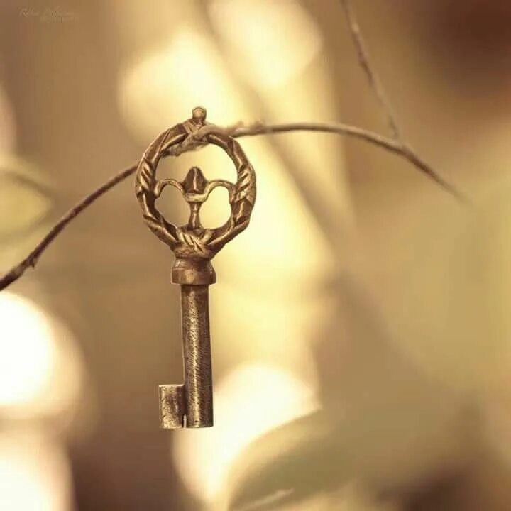 We the keys. Сольный ключ обои. the key. success key. the key to happiness.