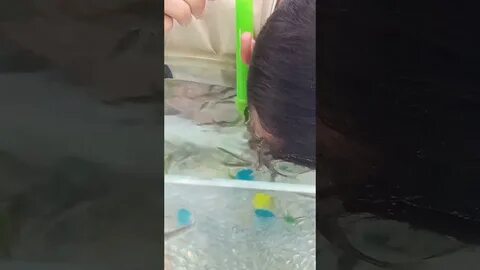 Подростка съели