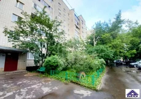 Цветы лесной городок
