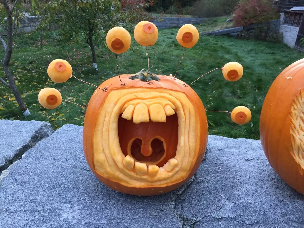 забавные тыквы на хэллоуин. забавный хэллоуин. тыква на голове. ежик хэллоуин. забавная тыква.