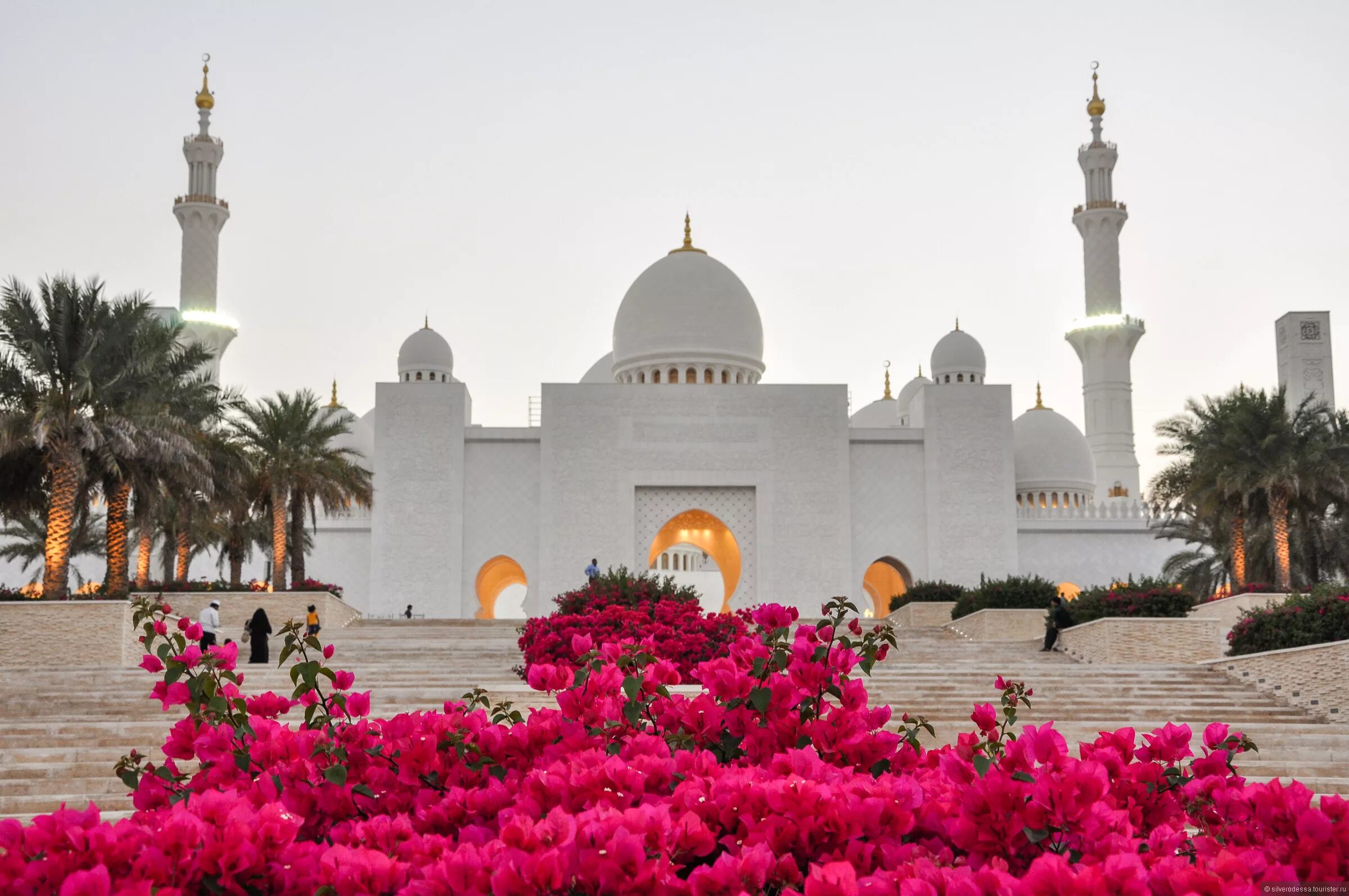 Абу Даби мечеть цветы. Белая мечеть в Абу-Даби. Сад в Абу Даби. Белая мечеть в Турции.