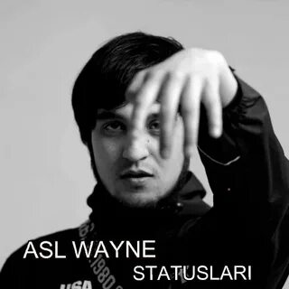 Asl wayne