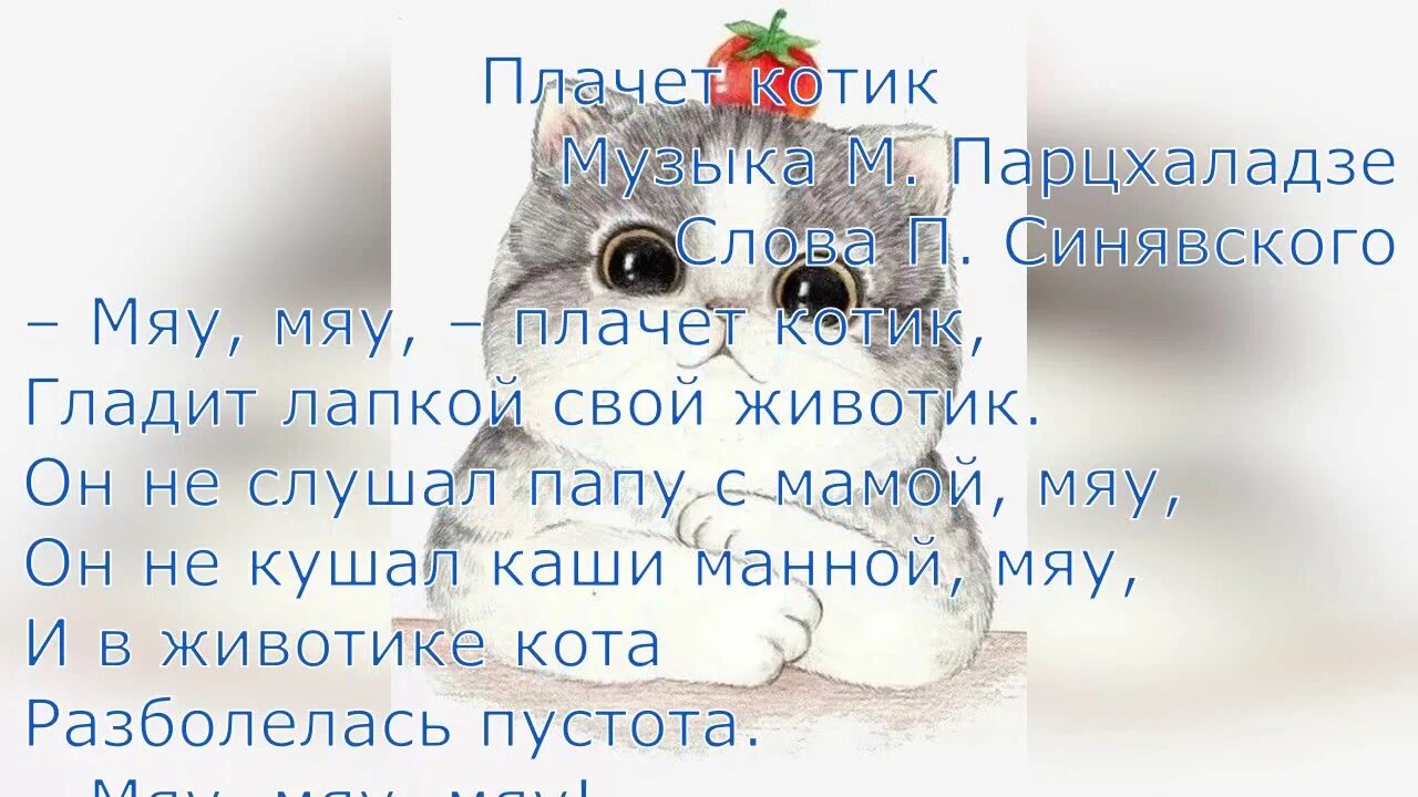 Маска 5 кот песня. Мяу мяу плачет котик гладит лапкой свой животик. Плачет котик парцхаладзе. Плачет котик песня. Слово котик.