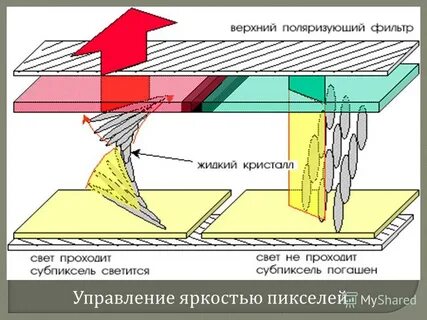 Устройство жк монитора