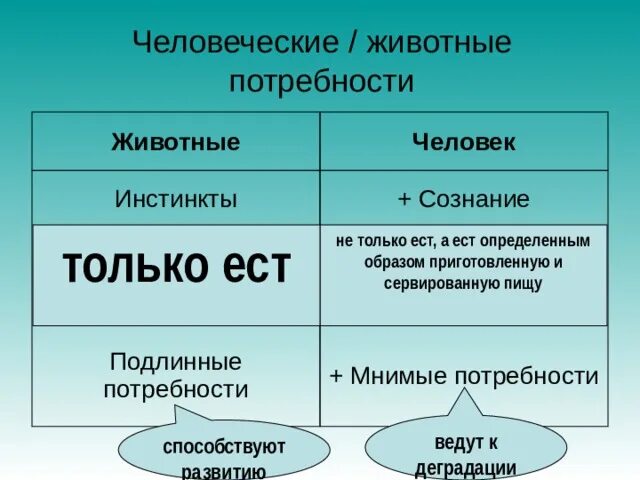 Потребности животных. Потребности человека и животных. Потребности людей в отличии от животных. Разлии потребностей человека и животного.