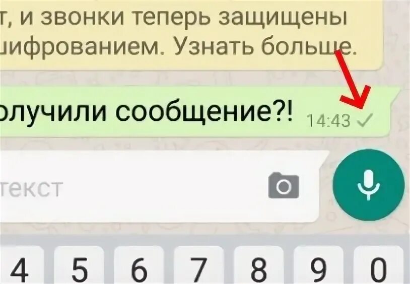 Что означает две серые галочки в ватсап