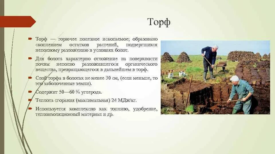Для чего нужен торф. Полезные ископаемые торф. торф полезное ископаемое. полезные ископаемые россии торф. торф горючее полезное ископаемое.
