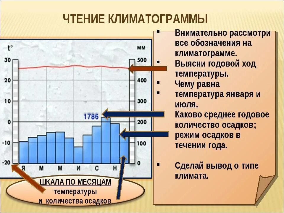 Какие климатические различия. Климатограммы климатических поясов. Тропический климат на климатограмме. Чтение климатограммы. Климатограмма по географии.