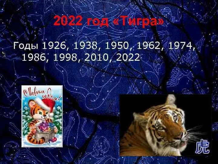 Год какого тигра 2022. Год тигра какие года. 2022 Год год какого тигра. Год тигра гороскоп.
