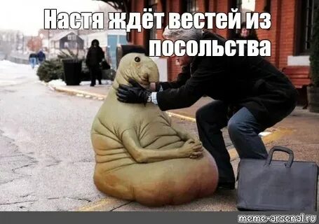 Жду вестей