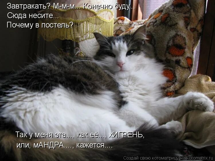 Христиане крест. Интересные высказывания в картинках. Несите почему и. Несите почему и. Жизненные ситуации картинки.