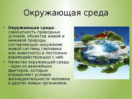 Естественная окружающая среда это