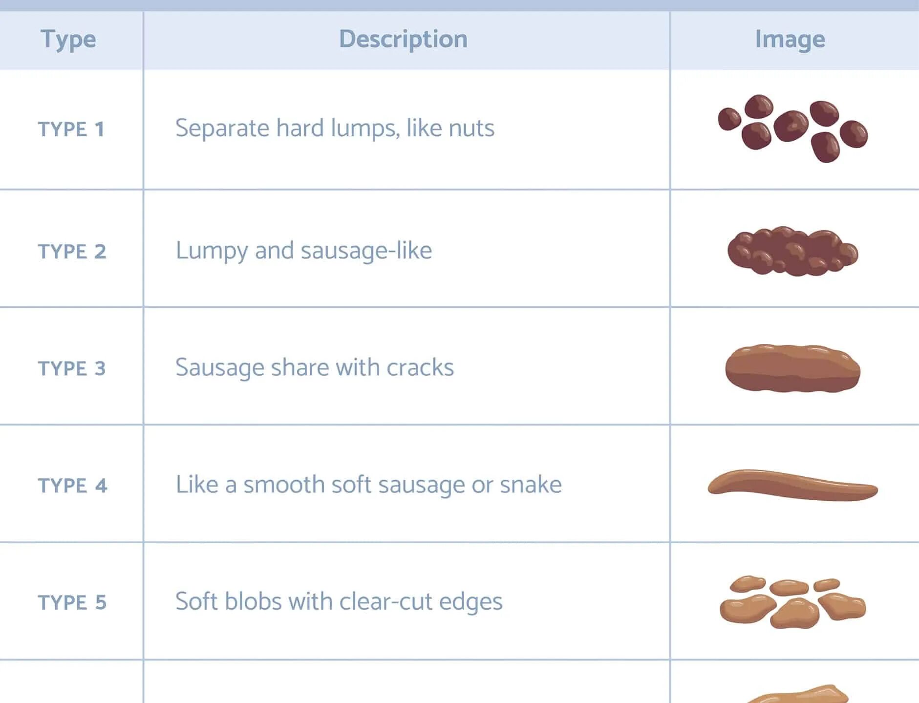 Шкала кала по бристольской шкале. Bristol Stool form Scale. Бристоль Бристольская шкала формы кала. Bristol шкала кала. Bristol Stool Scale.