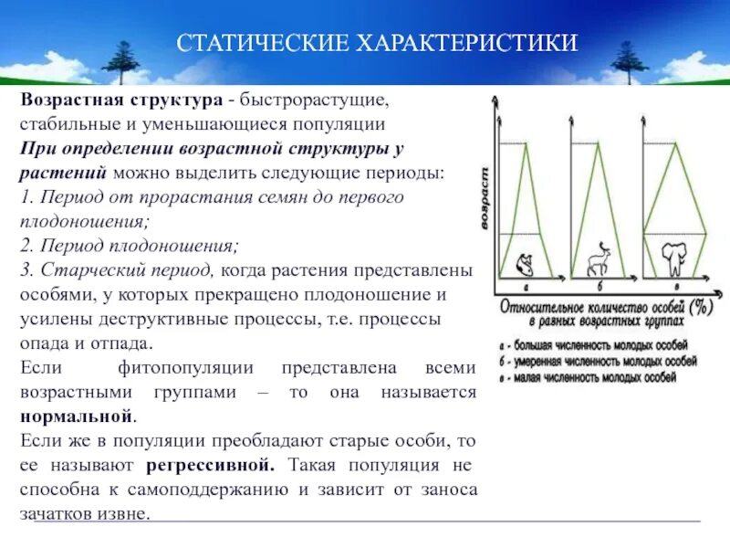 Возрастные группы популяции. Характеристика возрастной структуры популяции. Свойство популяции возрастной состав. Возрастная структура растительной популяции. Возрастная структура популяции быстрорастущая.