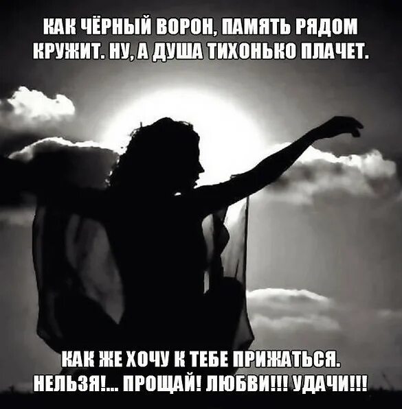 Стихи разрывающие душу. Адиль госпожа песня. Видишь разрывается моя душа что ты хочешь. Любовь и боль высказывания. Видишь разрывается моя душа что ты хочешь.