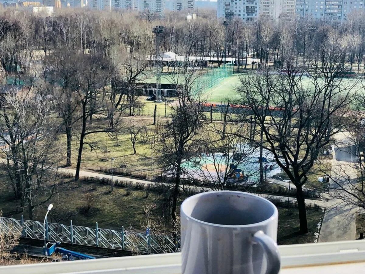 8 утра на улице. Парк Новогиреево. Красивый вид из окна Москва. Вид за окном город.