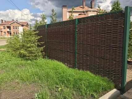 Лоза новосибирск