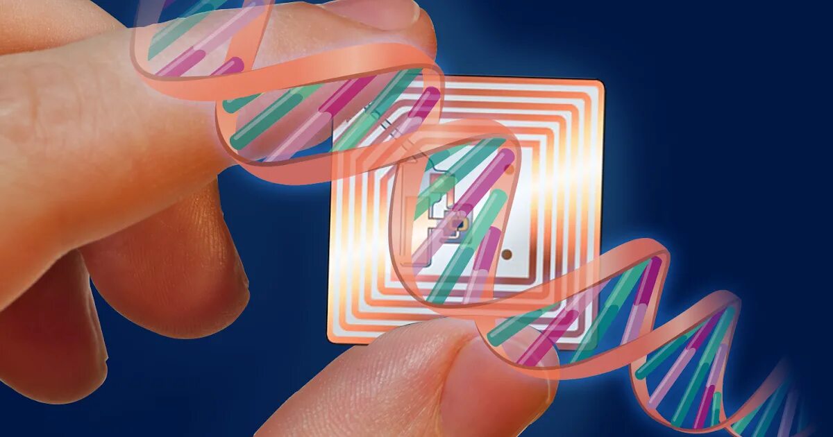 Как получить чипы в игре. RFID чип. RFID-метки — микрочипы. RFID прибор с микрочипом. RFID голограмма.