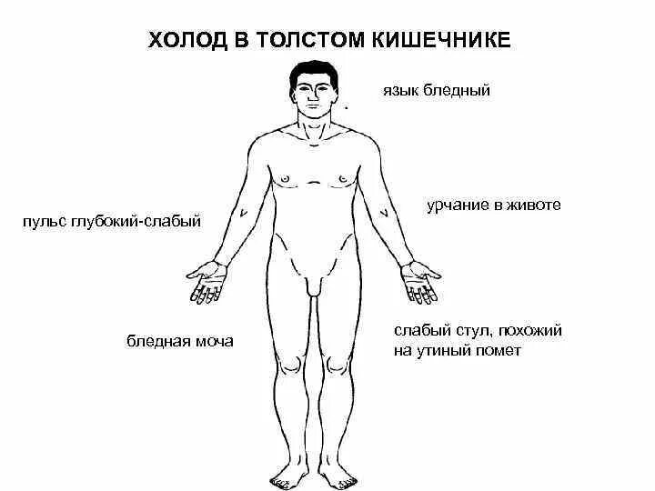 Почему сильно пульсирует в животе. Урчание и пульсация в животе. Пульсирование в кишечнике.