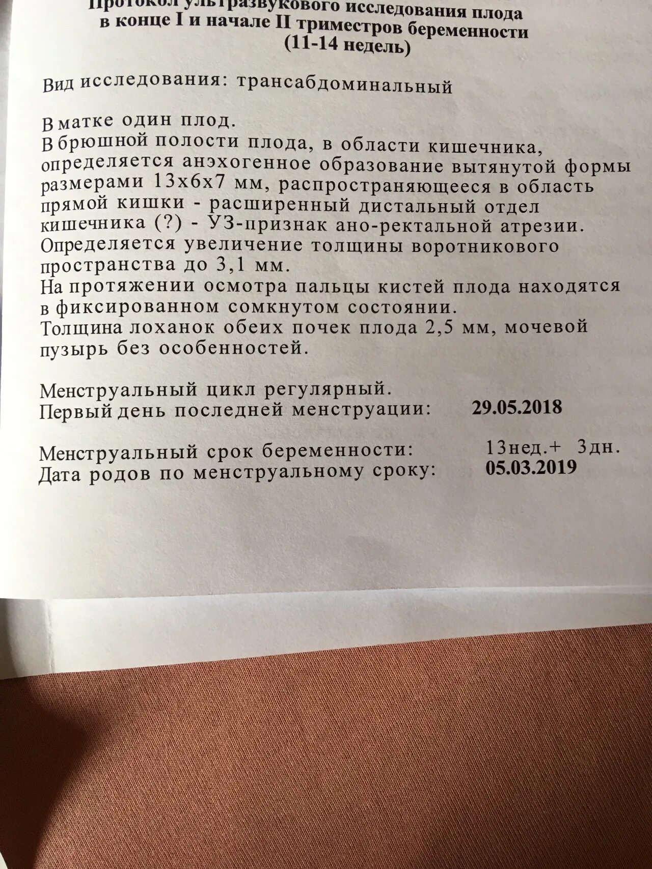 Образование вытянутой формы. Анэхогенное образование вытянутой формы. анэхогенное образование в матке. анэхогенное образование в матке перед месячными. анэхогенное образование шейки матки 4 мм.