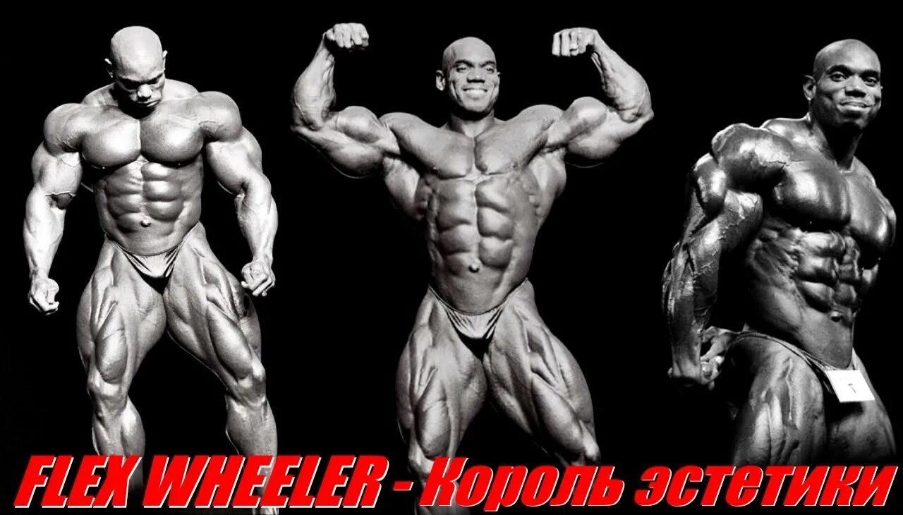 Лучший флекс. Флекс уиллер. бодибилдер flex wheeler. кеннет флекс уиллер. флекс уиллер антропометрия.