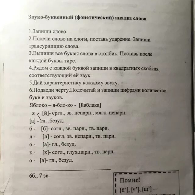 Яблоня слово буквенный разбор. Анализ слова яблоко. Звука буквенный анализ слова яблоко. Сделать звуко буквенный анализ слова яблоко. Анализ слово яблоня.