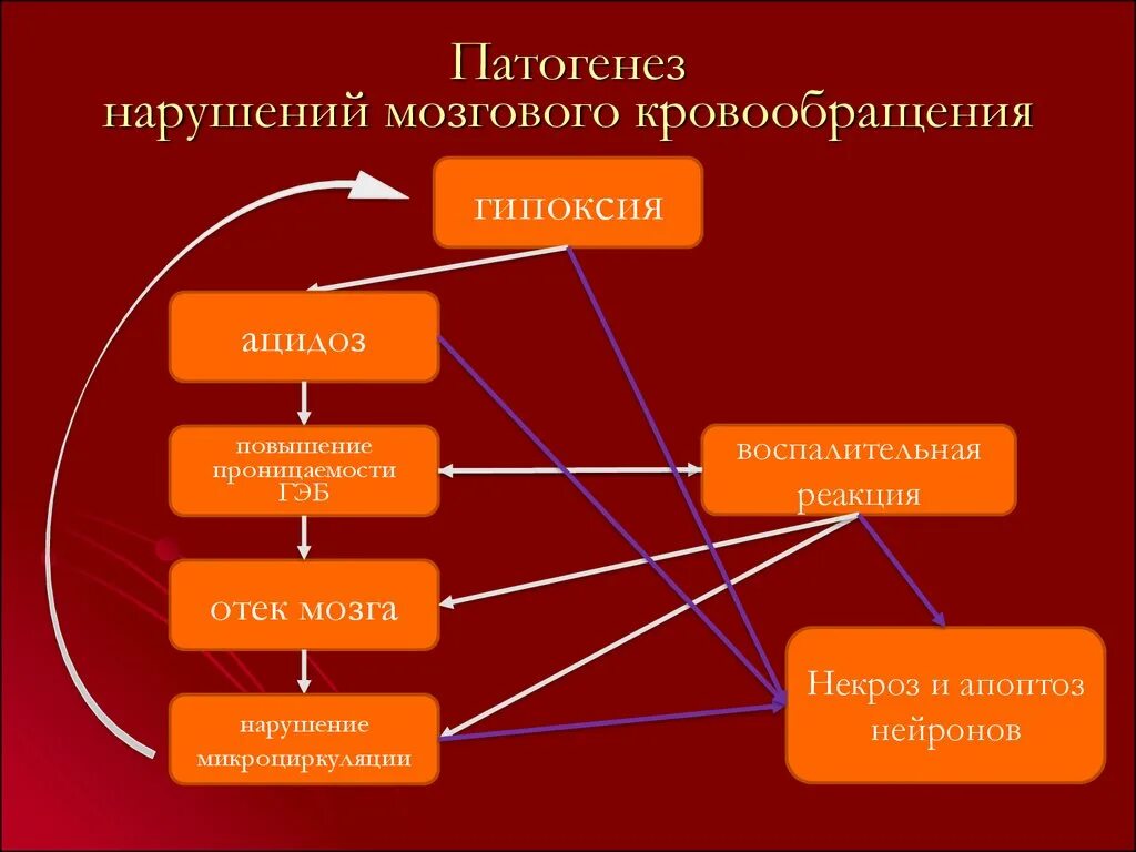 Клинические формы нарушений мозгового кровообращения схема. Хронические нарушения мозгового кровообращения классификация. Острое нарушение мозгового патогенез. Механизм острого нарушения мозгового кровообращения. Нарушение кровообращения механизмы