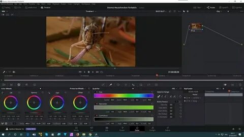 Для каких задач предназначена программа davinci