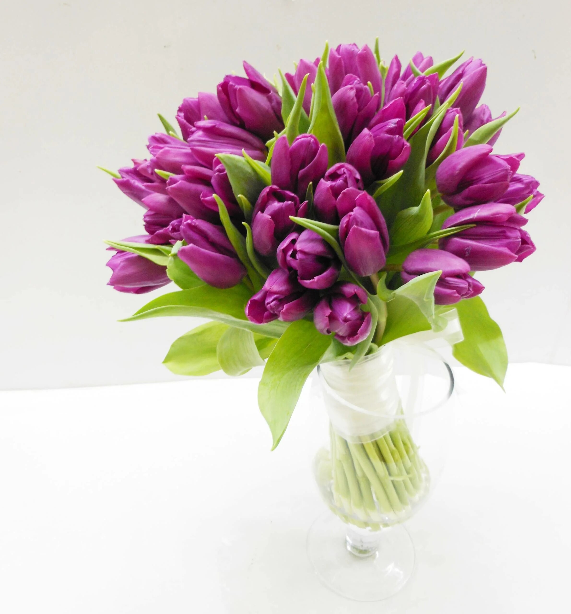 Стильный букет тюльпанов. Тюльпан букетный. Пионовидные тюльпаны букет. Тюльпан Пепл букет. Тюльпан Purple Bouquet.