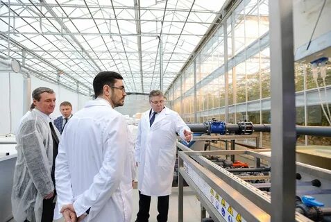Агрохолдинг ставропольский край