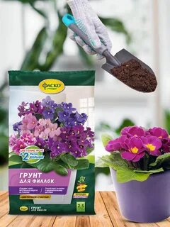 Фаско для фиалок