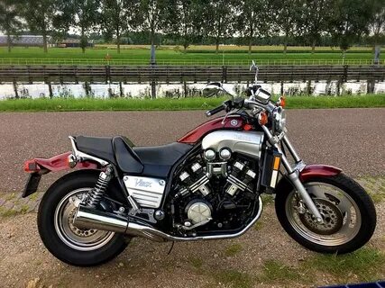 V max vs