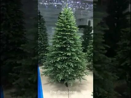 Max christmas отзывы